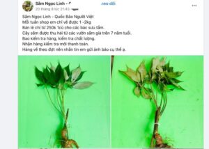 sam nl 2585 1695025310