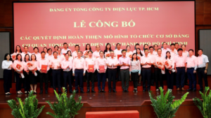 hoan thien mo hinh to chuc co so dang co quan tong cong ty dien luc tp ho chi minh 654cebd6be495