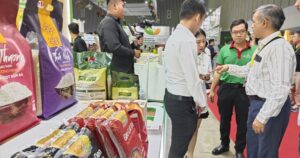khach quoc te tap nap den tp hcm tim mua yen sao gao gia vi 655dc0237ff86