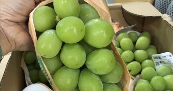 Lý do khiến lựu đỏ, nho mẫu đơn... ngày càng rẻ 1 ly do khien luu do nho mau don ngay cang re 6551ddc95d594