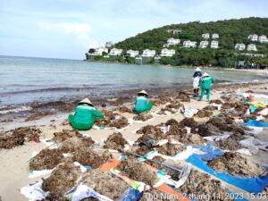 phu quoc dau dau xu ly rac ngoai 6548f8232ae64