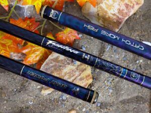 tim hieu nghe thuat cau ca cung do cau khanh rau 65425f0d200ba