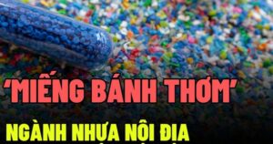 vi sao doanh nghiep nhua luon nam trong tam ngam thau tom cua dai gia thai lan 65425b48cbd10