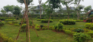 vien ngoc quy can duoc vinh danh 658e20f48ebe6