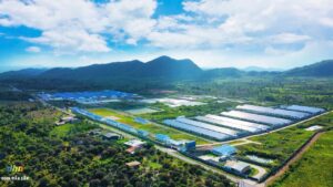 gia lai ky vong tro thanh trung tam chan nuoi cong nghe cao 67130b3c07336