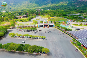 kho bau xanh hiem co 672039c2f3b59