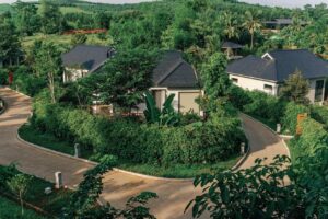 lac loi vao nhung cung duong lamori 673401cb5c77e