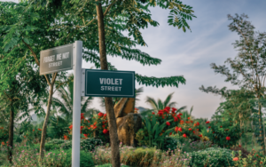 doc dao nhung cung duong mang ten cac loai hoa o lamori 6771f72dd7484