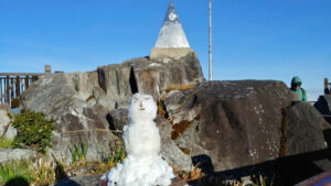 du khach thich thu ngam hoa bang dap nguoi tuyet tren dinh fansipan 677b31c4487ec