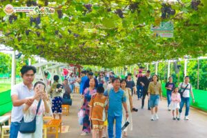 tour tet at ty chuyen di xanh trai nghiem moi la va ben vung 6785bdad95dcb