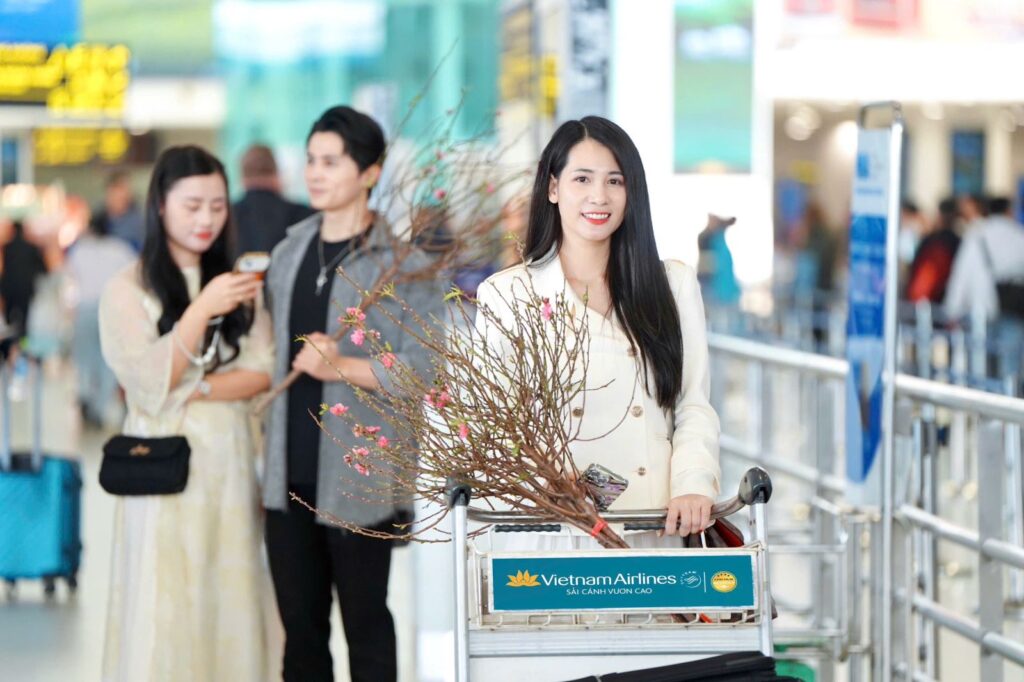 vietnam airlines van chuyen mai dao tet nguyen dan at ty 2025 6780c6457f48f