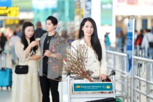 vietnam airlines van chuyen mai dao tet nguyen dan at ty 2025 6780c6457f48f