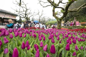 diem danh 3 san pham du lich moi hua hen lam mua lam gio tai da nang 67bd1c9c71eec