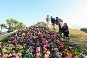 vui choi sun world ha long mua xuan khong the bo qua nhung trai nghiem nay 67b7d6621c10a