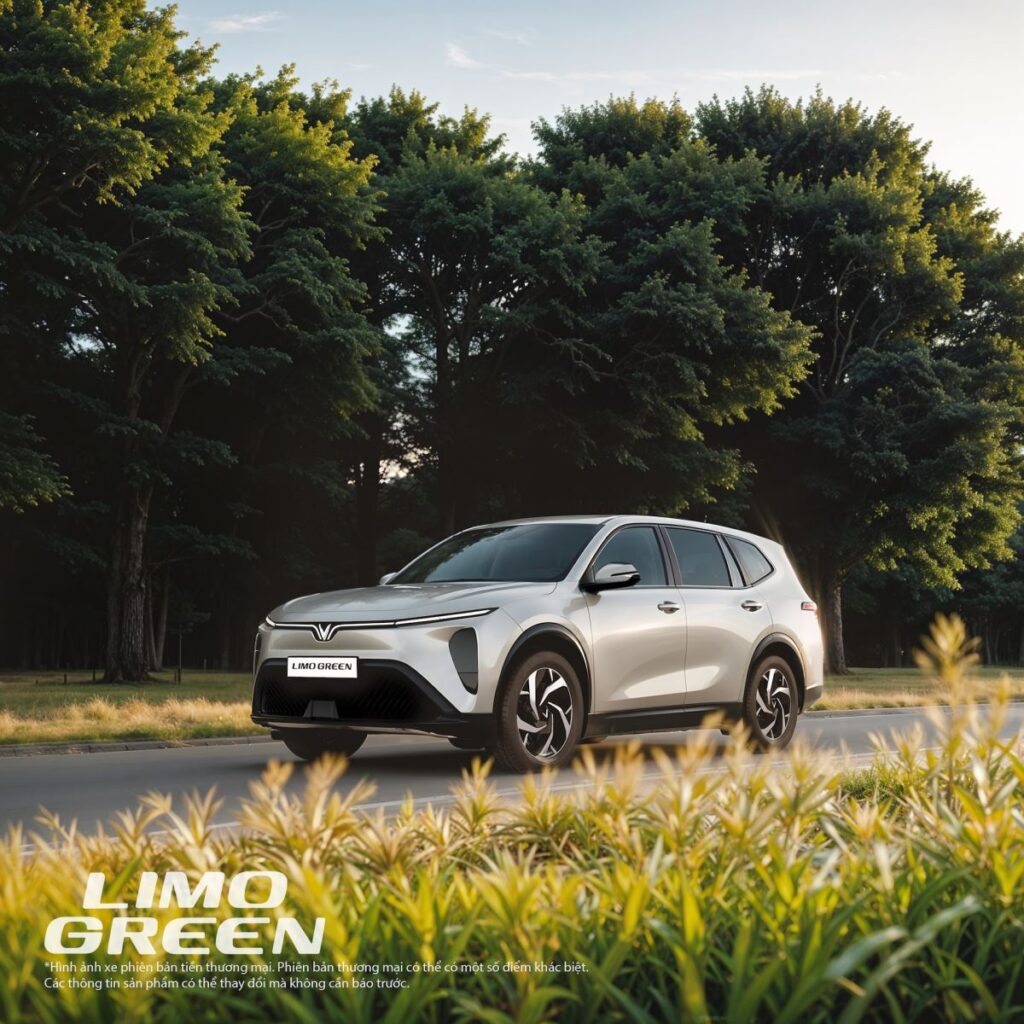 chay dich vu loi dam hoan von nhanh tai xe me tit 67df63ef2399b