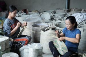 doanh nhan nu tre tran day tinh than khoi nghiep khat khao xay dung su nghiep 67cb9ce3ba559