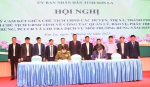 son la day manh cong tac quan ly bao ve phat trien rung va chi tra dich vu moi truong rung 67c262460df2e