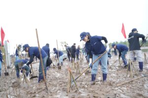 trong rung ngap man tai thai binh gop phan vi mot viet nam xanh 67cf918205f88