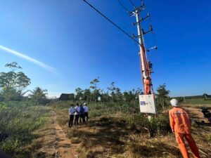 nang cao chat luong dien nang ky vong lam giau tu sau rieng o vung cao phu yen 680d88184dd5c