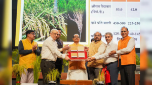 an do cong bo hai giong lua chinh sua gen dau tien tren the gioi 6821891eb6942