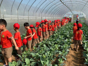 gan trong trot voi du lich du an hinh mau o thai binh 6835151db4724