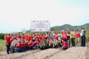 trong hon 10 000 cay xanh tai rung phong ho dong xuan tinh phu yen 6825434eea324