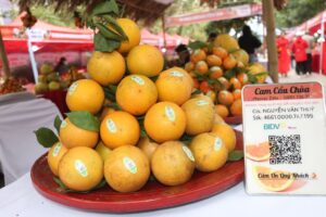 tiep tuc ra soat xuat xu truy xuat nguon goc hang hoa 685f44d203322